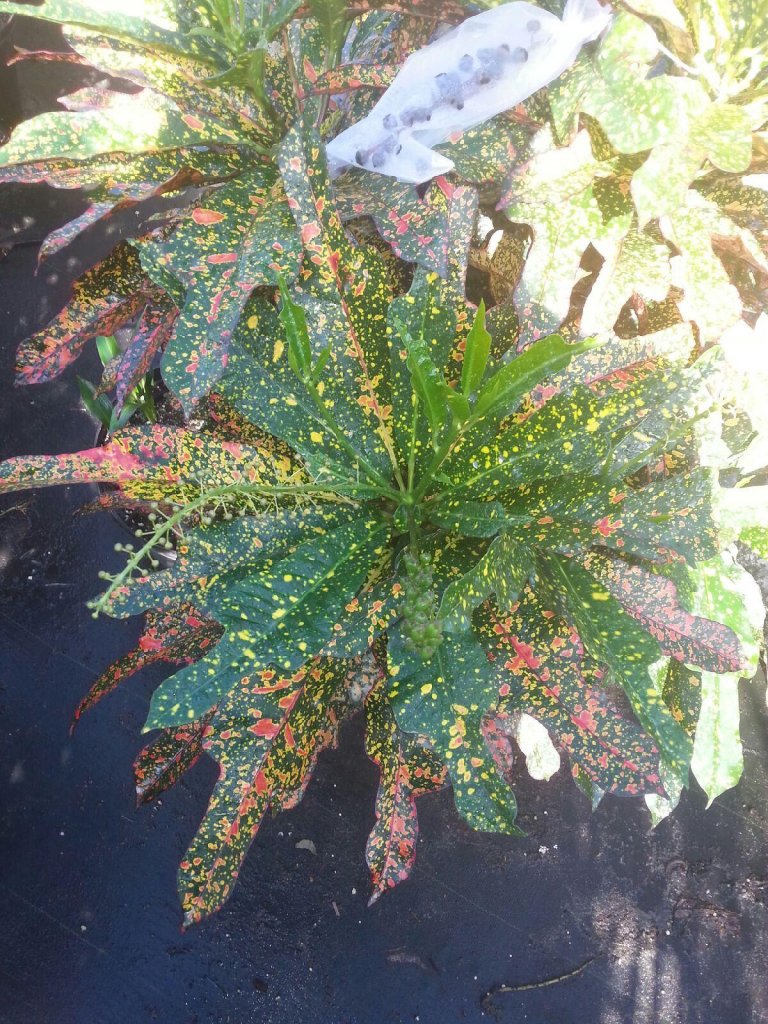 20161214_110450.jpg