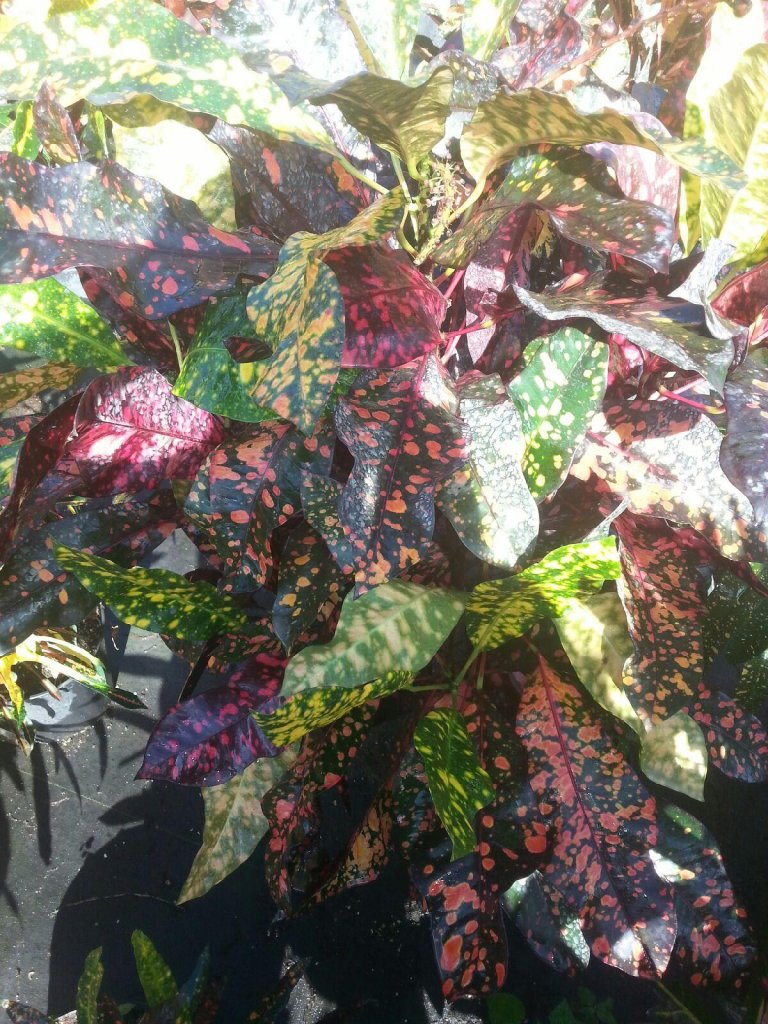 20161214_110517.jpg