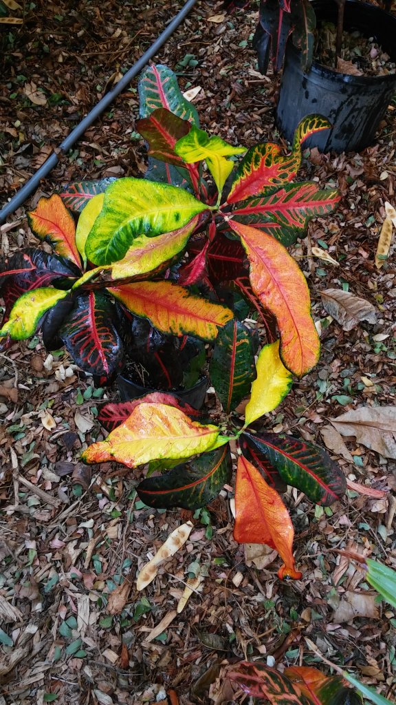 20170126_141302.jpg