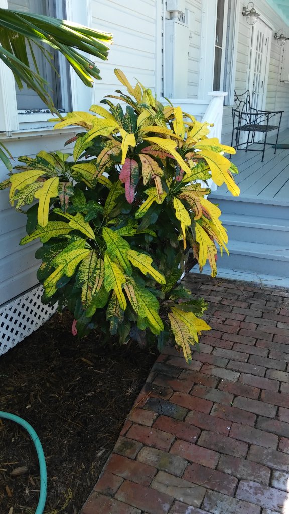 20170321_125150.jpg