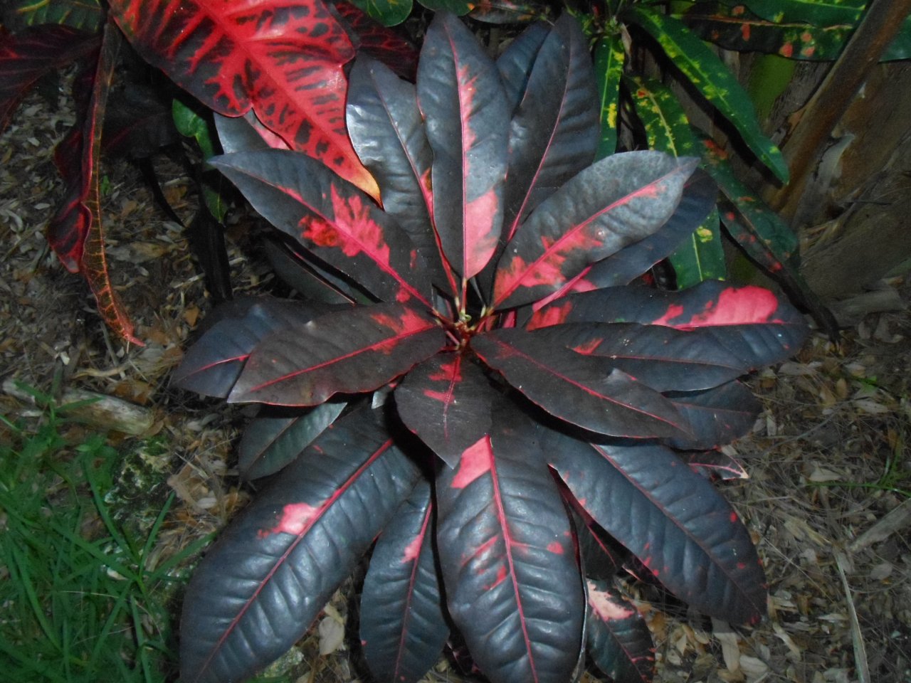 Ben Alexander 1.JPG Ben Alexander 1.JPG