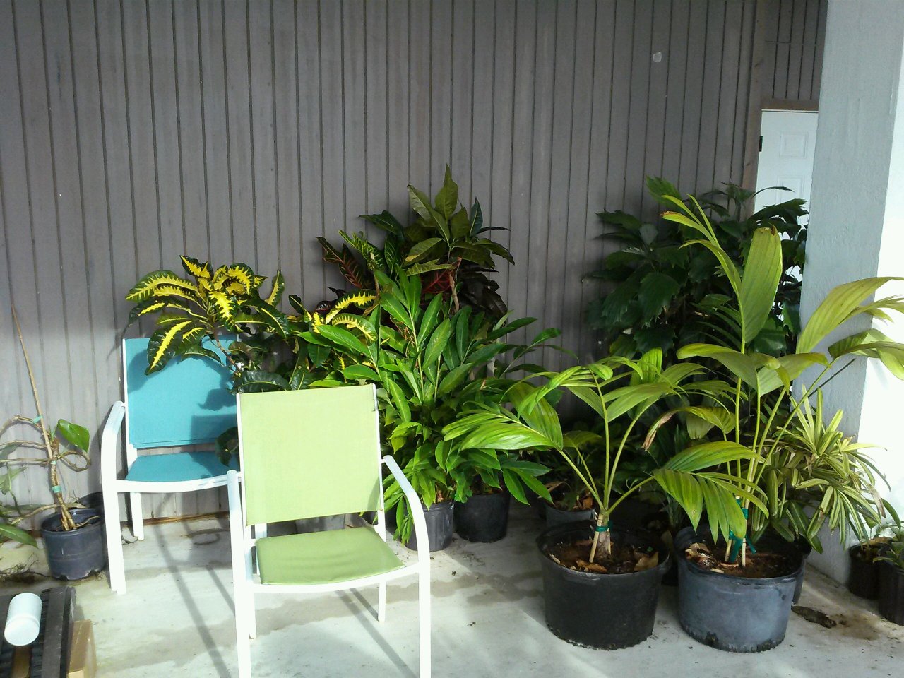 CAM00437.jpg