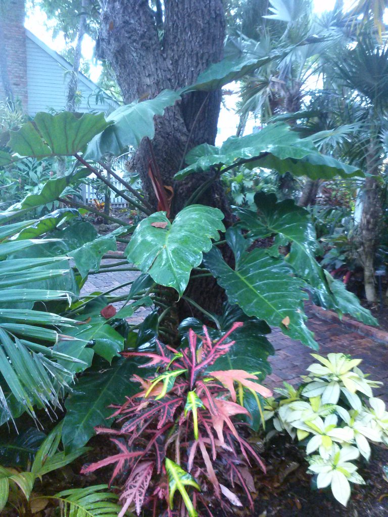 CAM00912.jpg