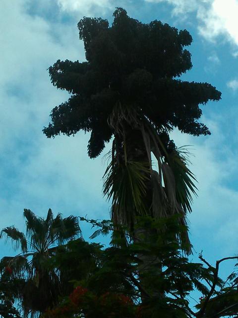 CAM01055.jpg
