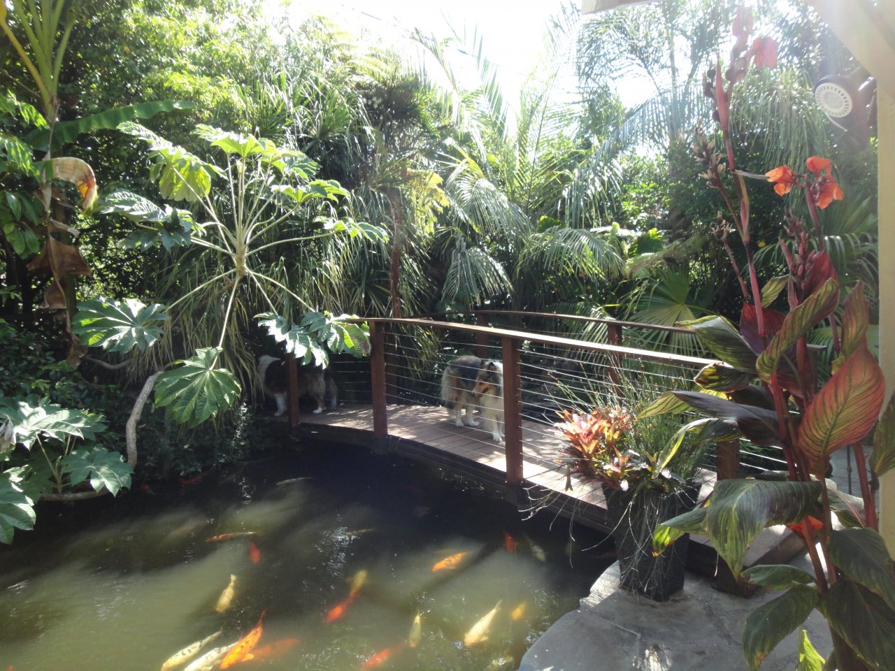 DSC01042.JPG