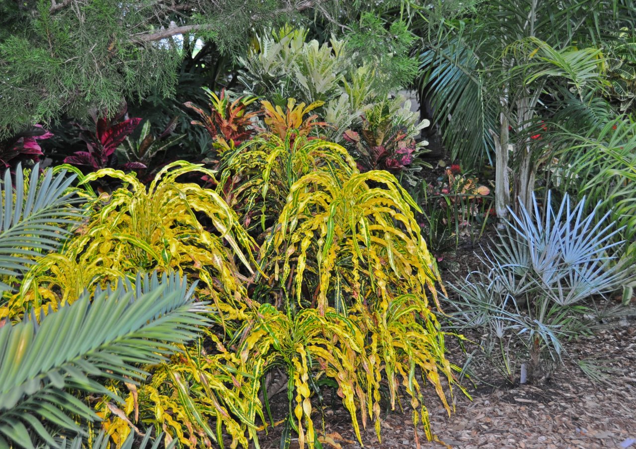 DSC_0213.JPG