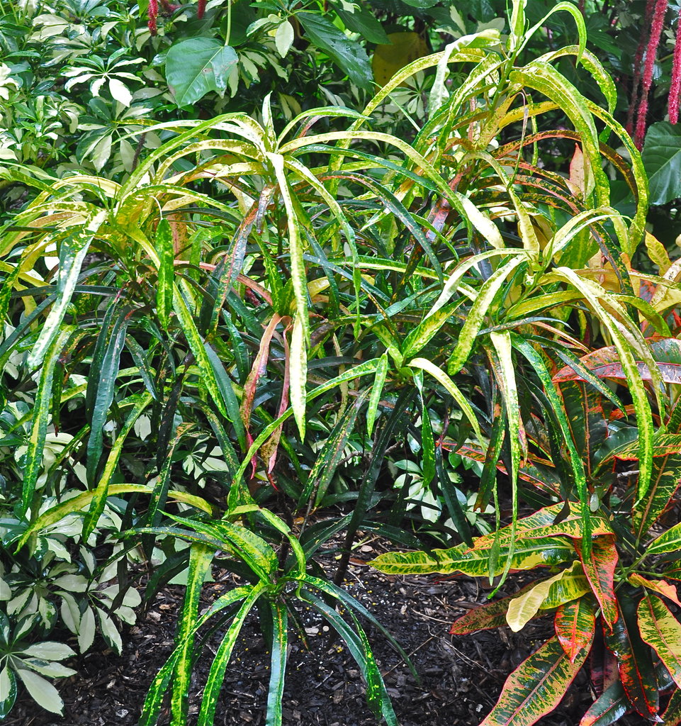 DSC_1984.jpg