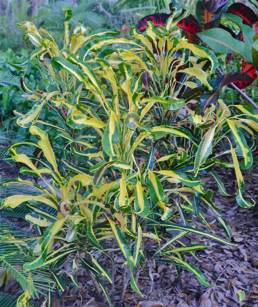 DSC_1989.jpg