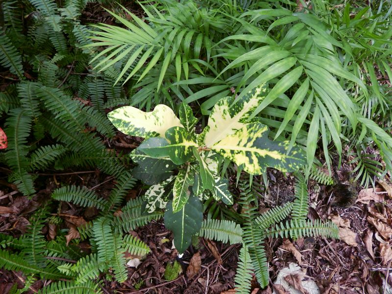 DSCN1689.JPG