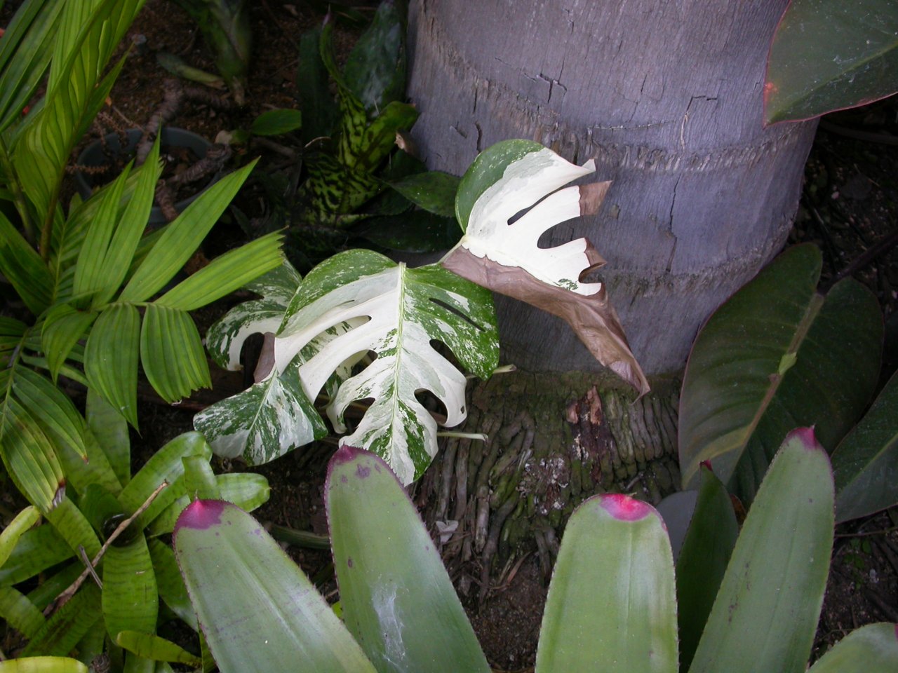 DSCN2188.JPG
