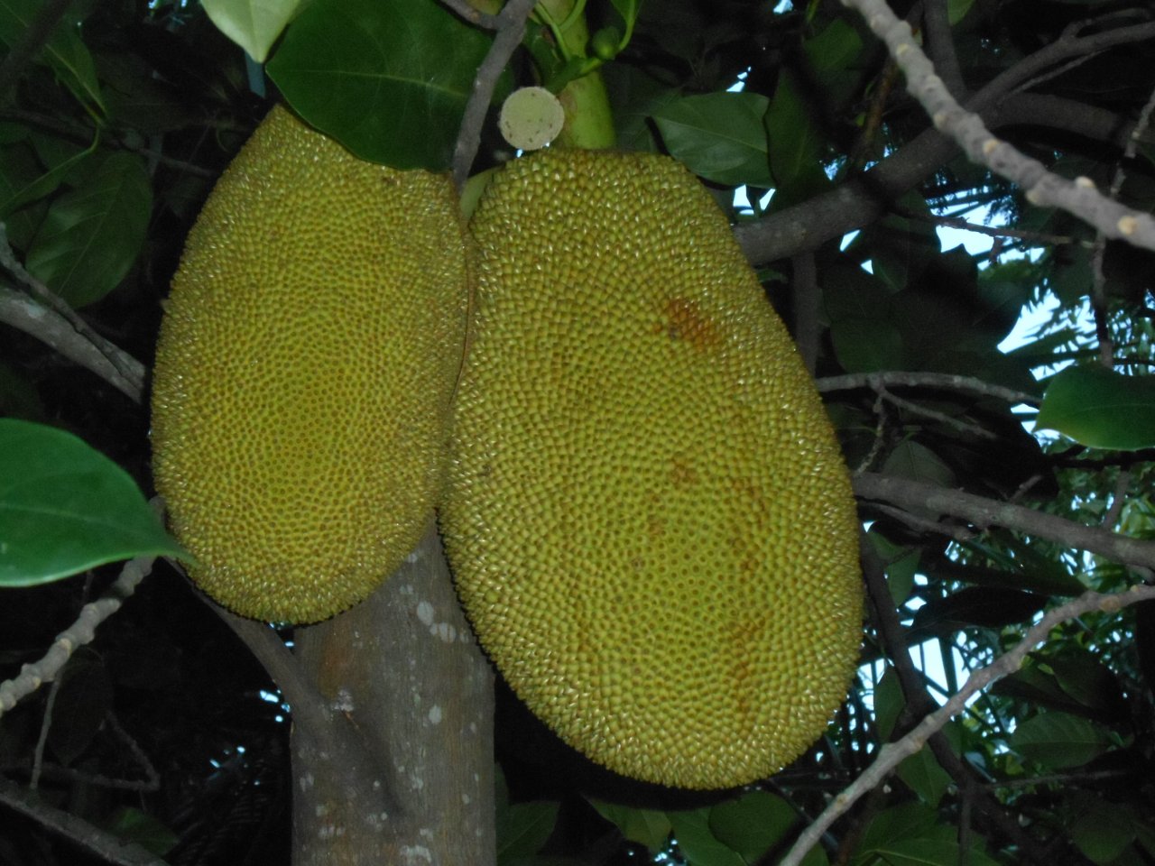 DSCN2757.JPG