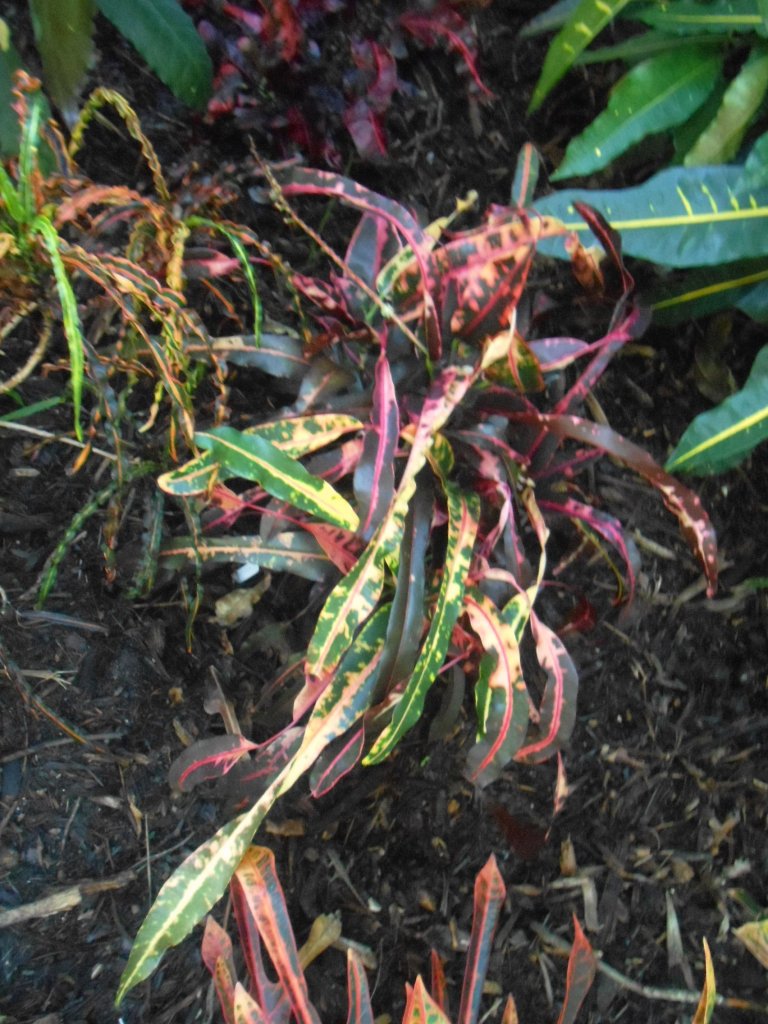 DSCN3058.JPG