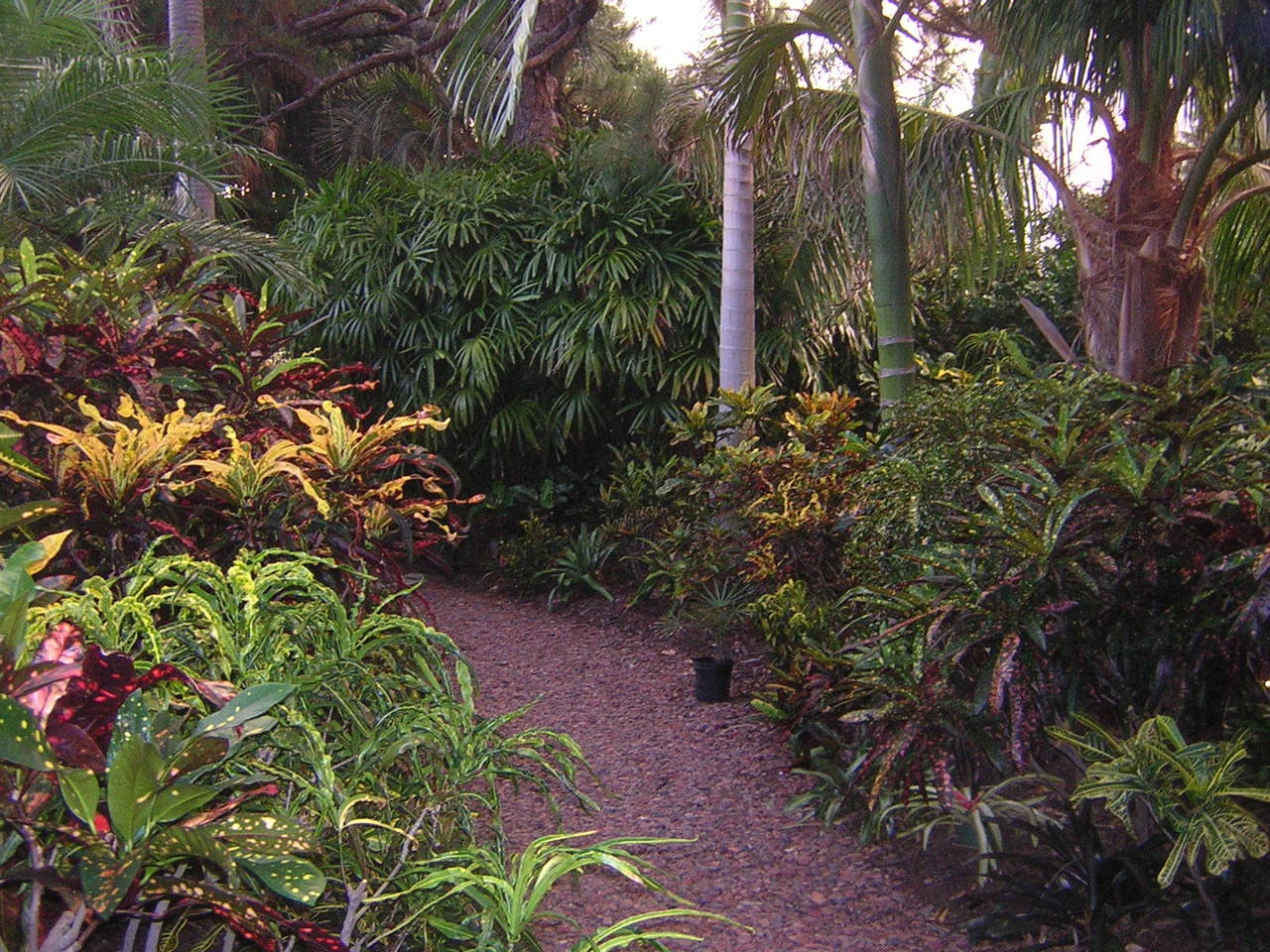 DSCN3208.jpg