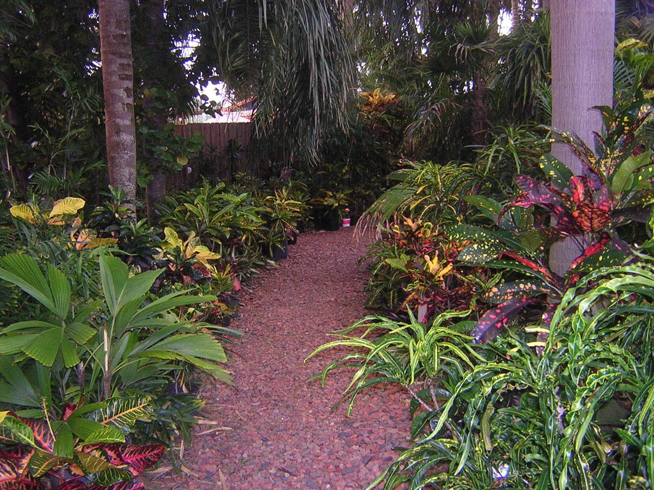 DSCN3210.jpg