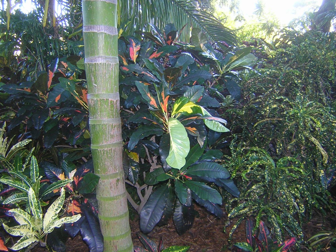 DSCN3618.JPG