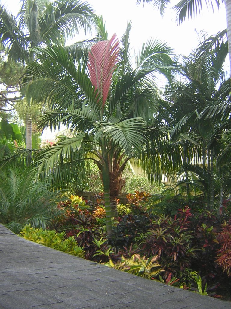 DSCN4143.JPG