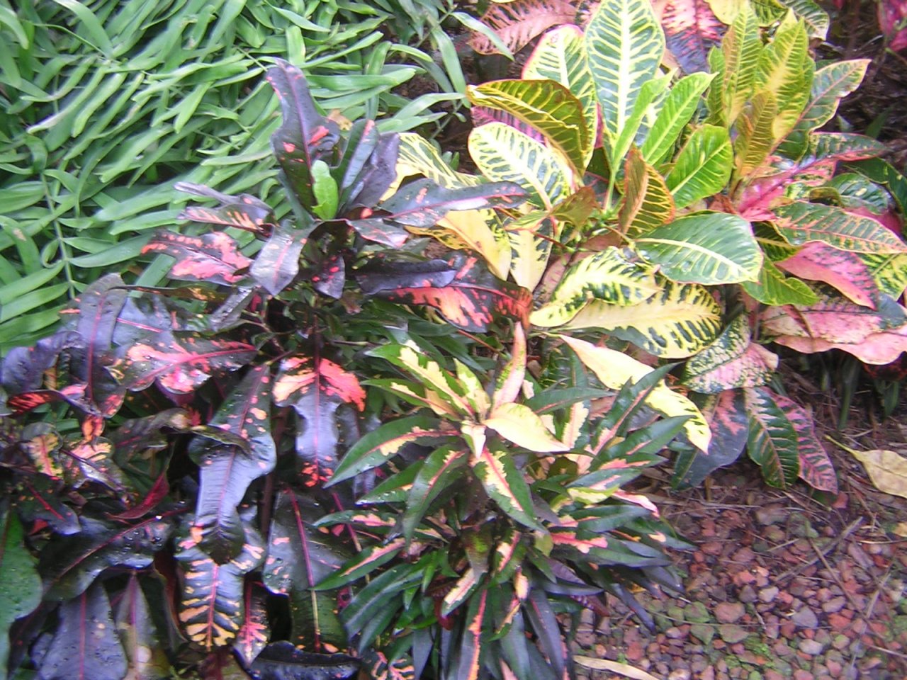 DSCN5670.JPG