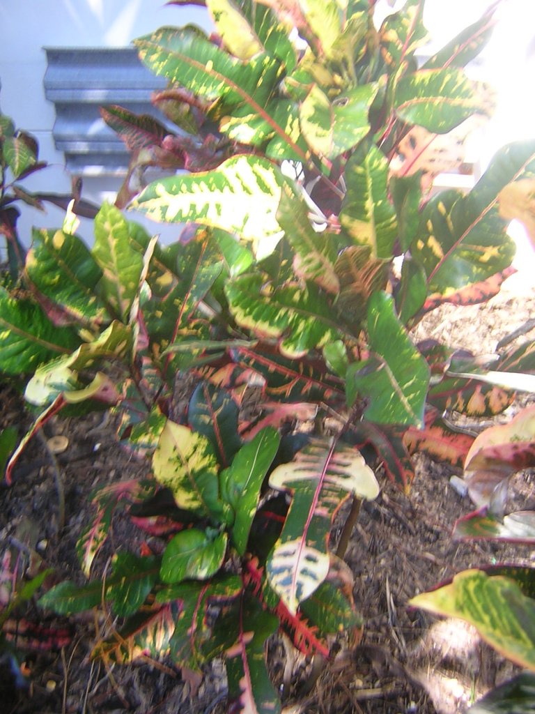 DSCN5699.JPG