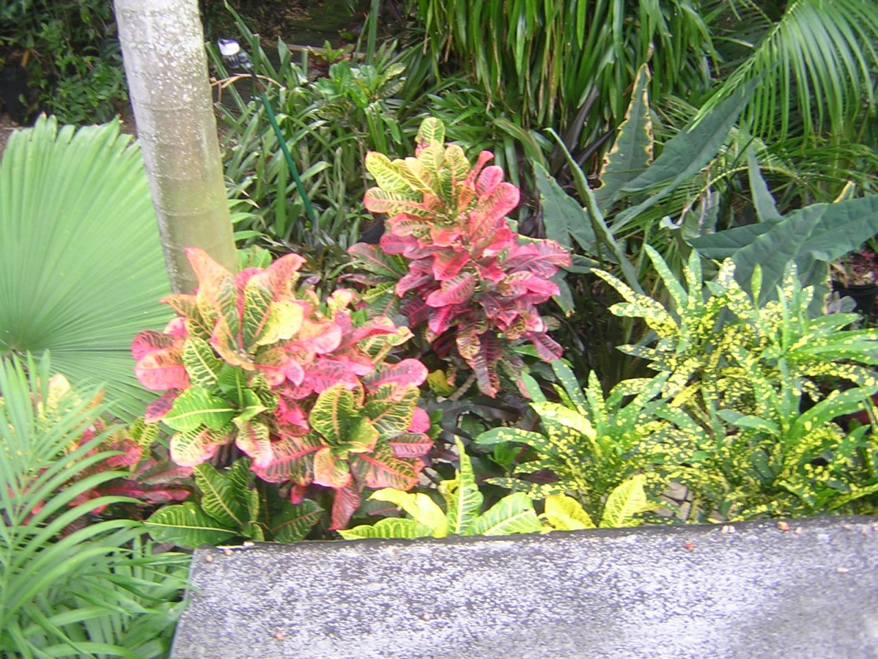 DSCN5709.JPG
