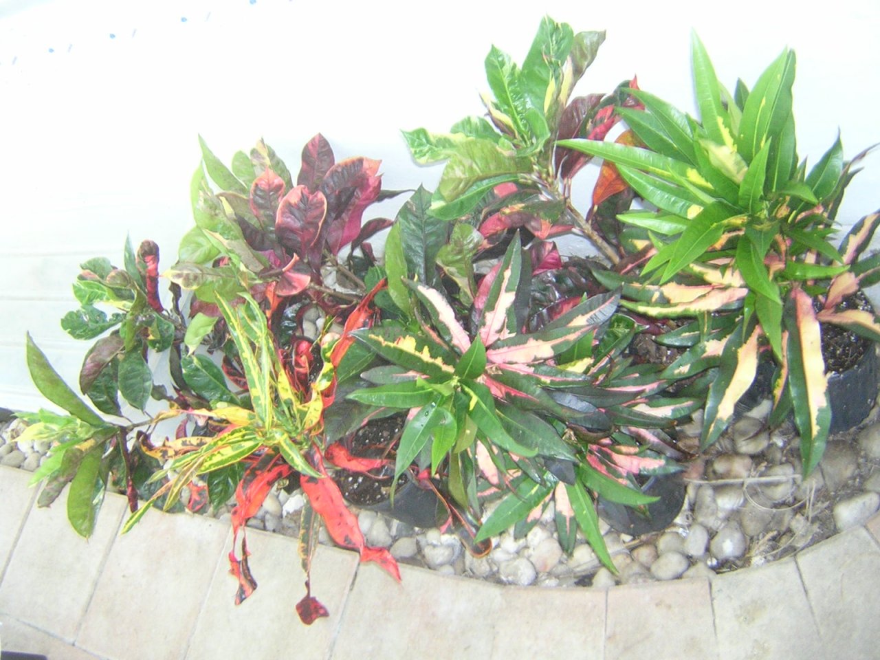 DSCN6678.JPG