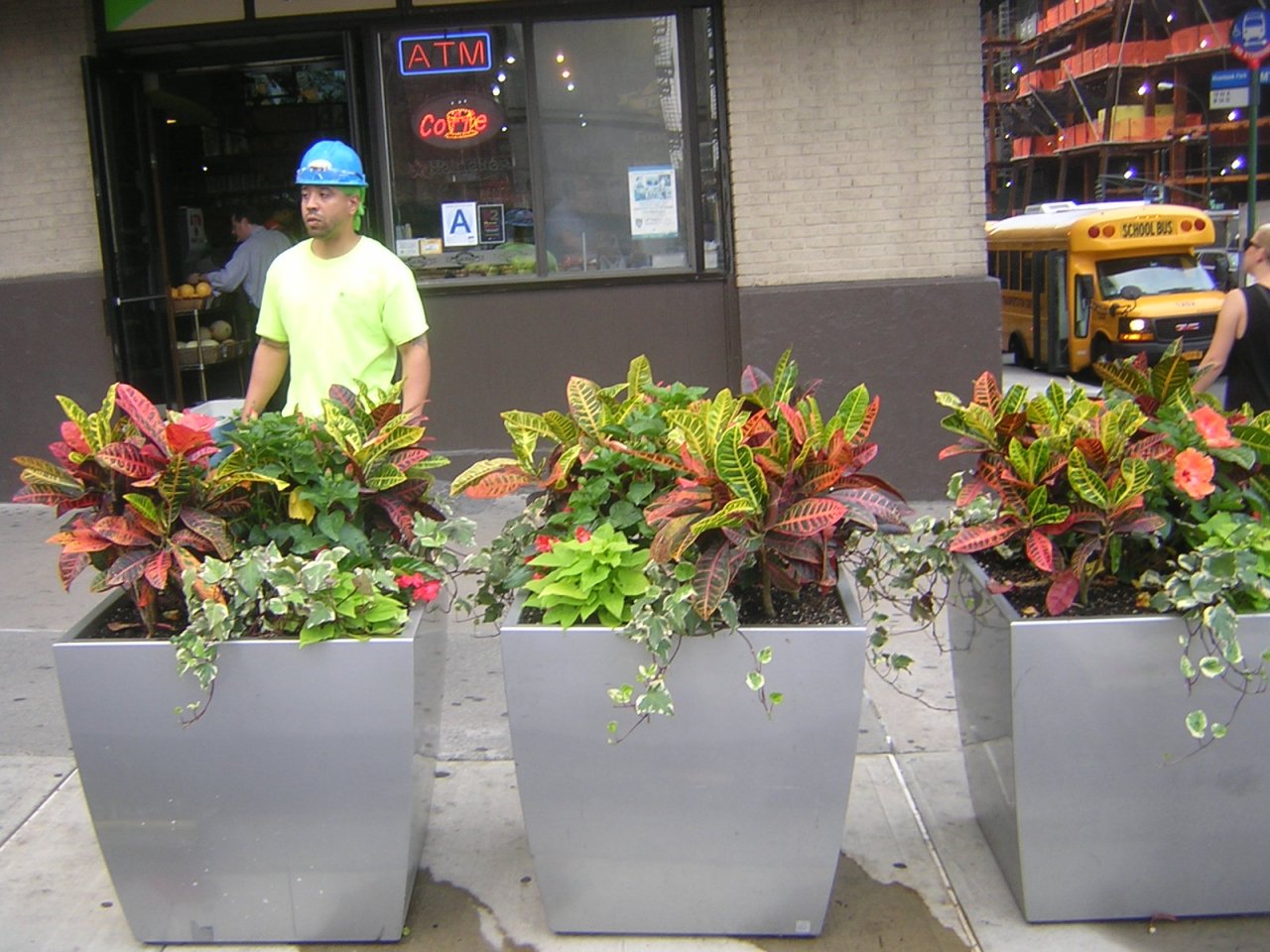 DSCN6727.JPG DSCN6727.JPG