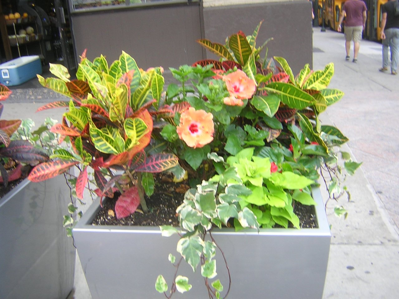 DSCN6728.JPG DSCN6728.JPG