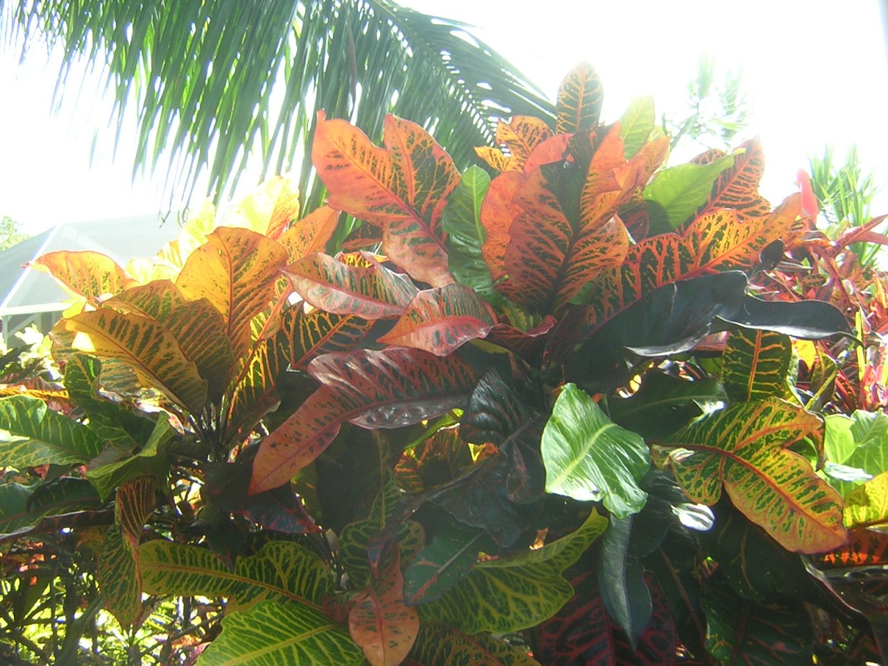 DSCN7076.JPG
