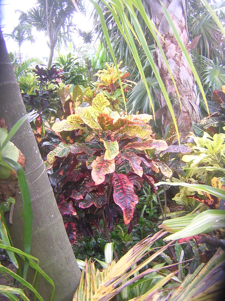 DSCN7712.JPG
