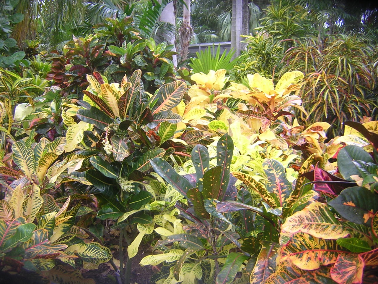 DSCN7713.JPG