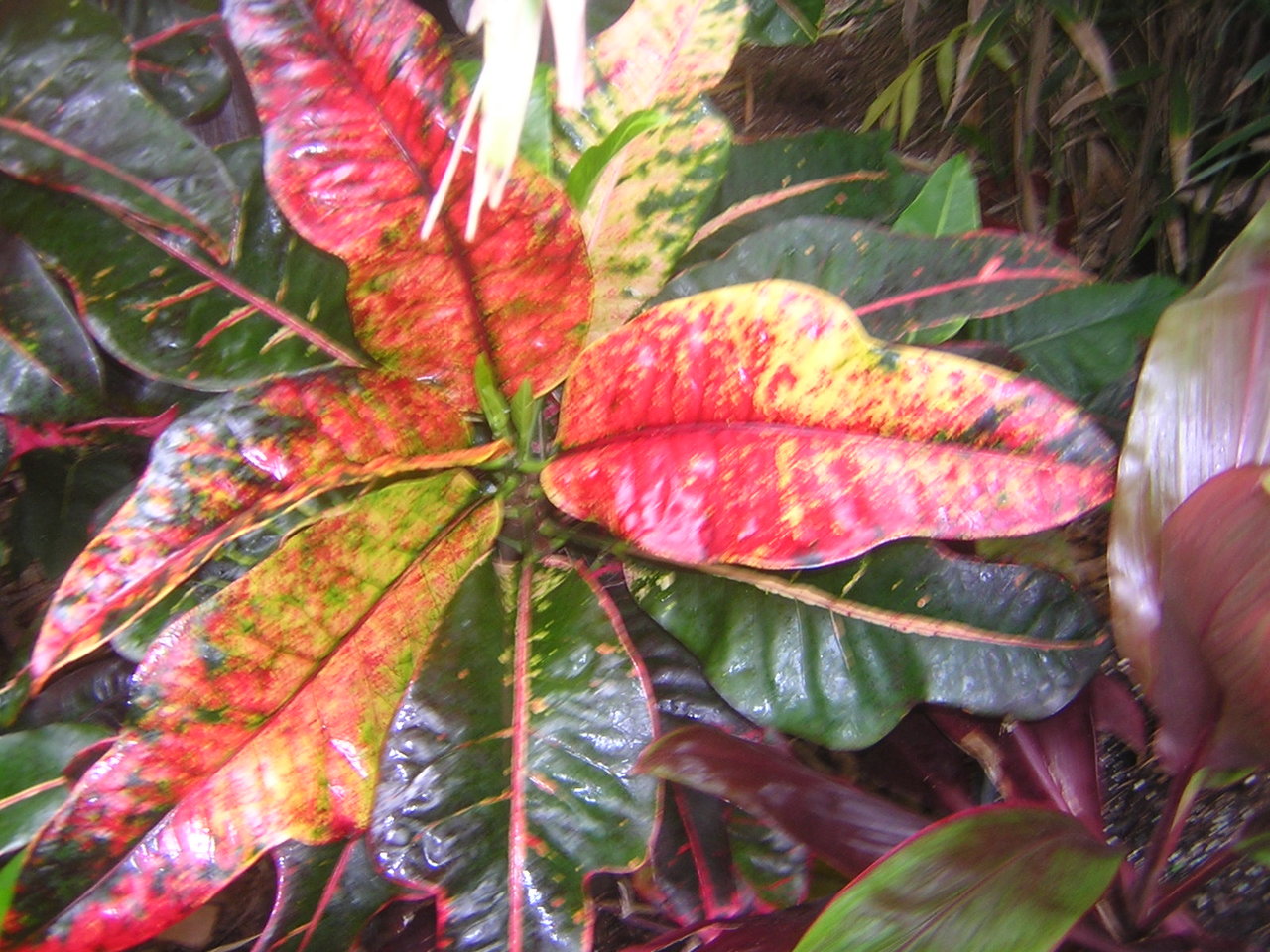 DSCN7873.JPG