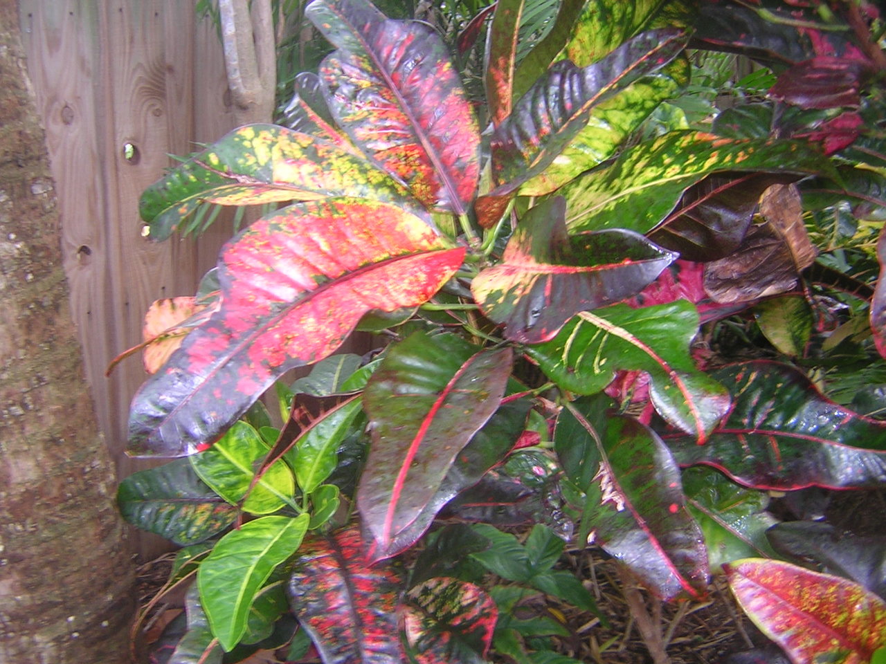 DSCN7875.JPG