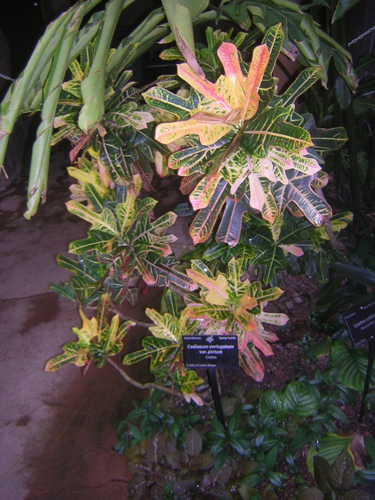 DSCN7897.JPG