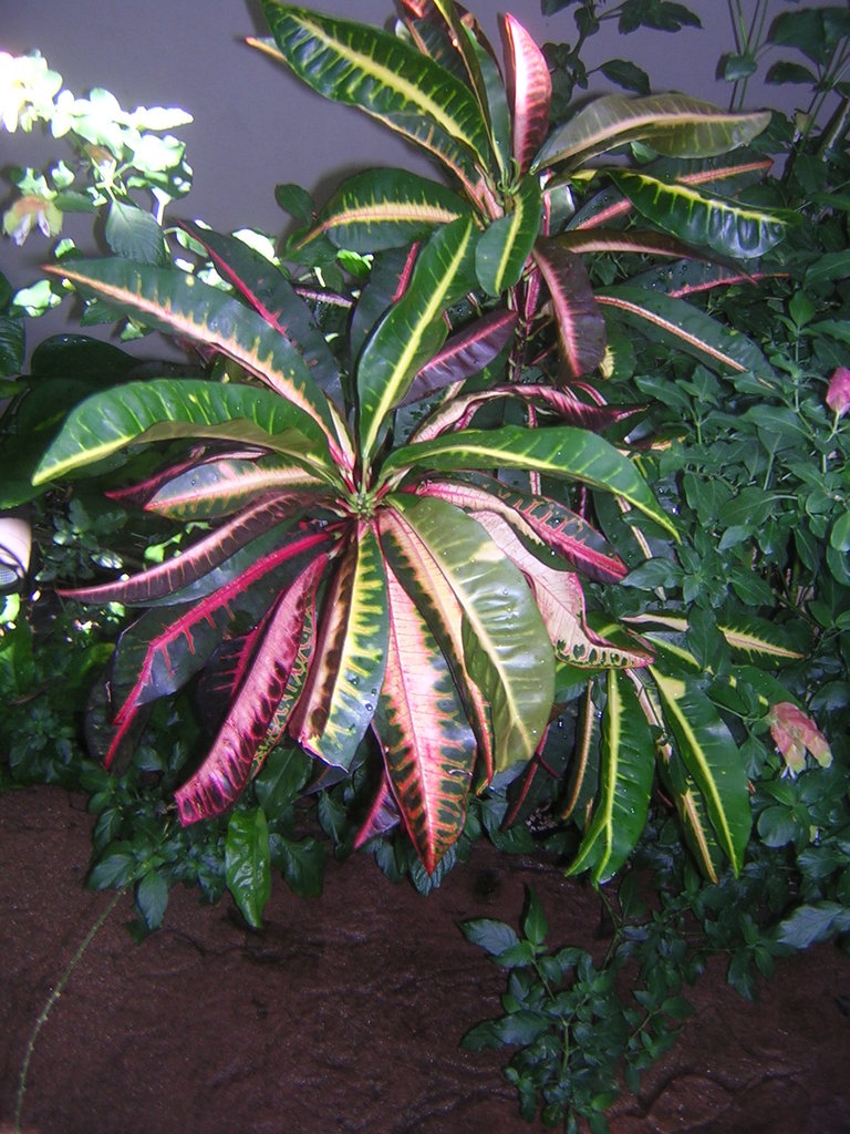 DSCN7898.JPG