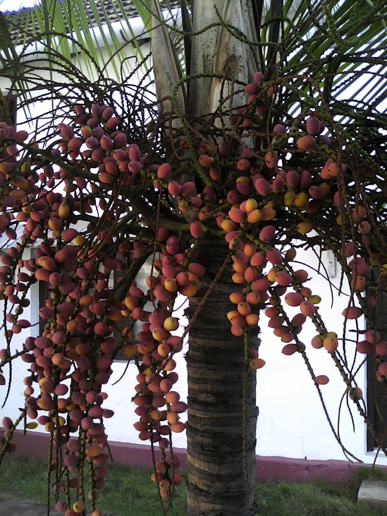 IMG_20160309_094737.jpg