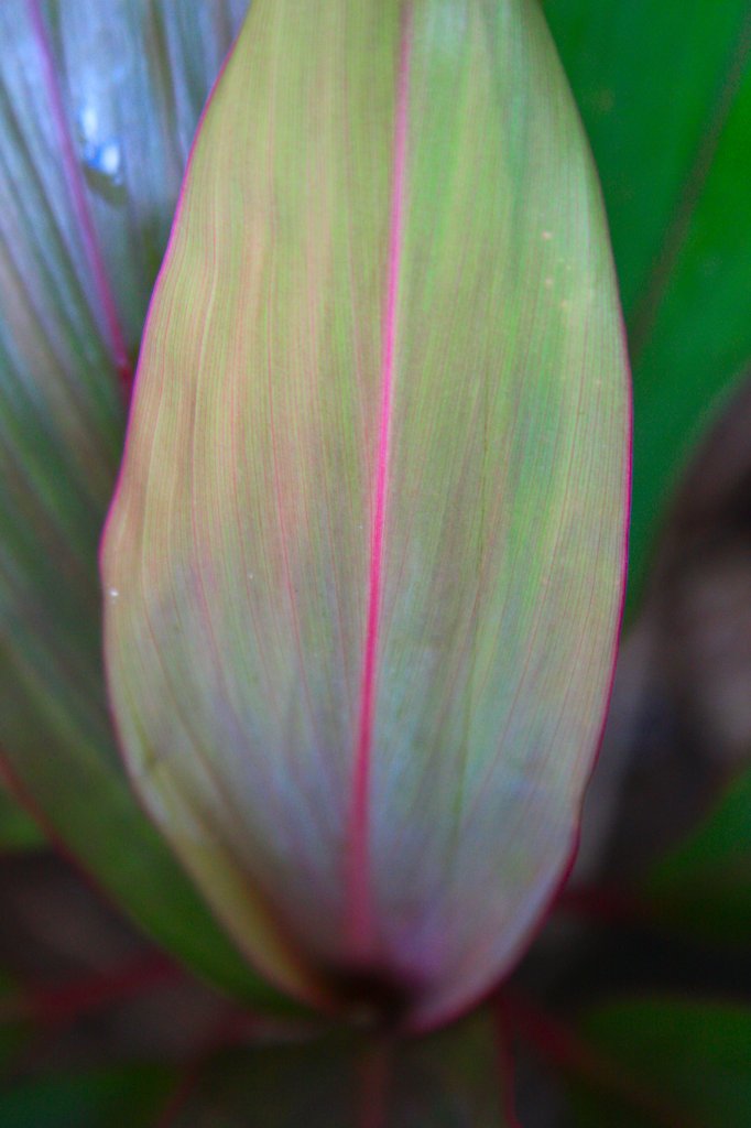 Img_8990.jpg