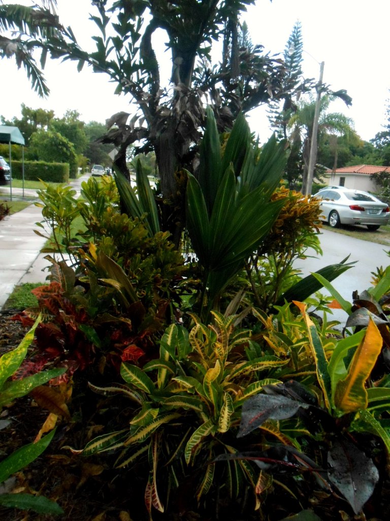 lisa 1.JPG lisa 1.JPG