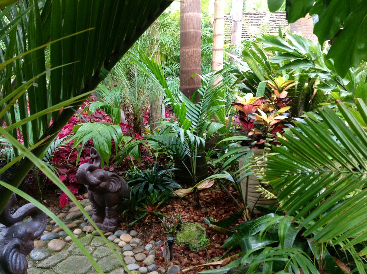 photo-191.JPG