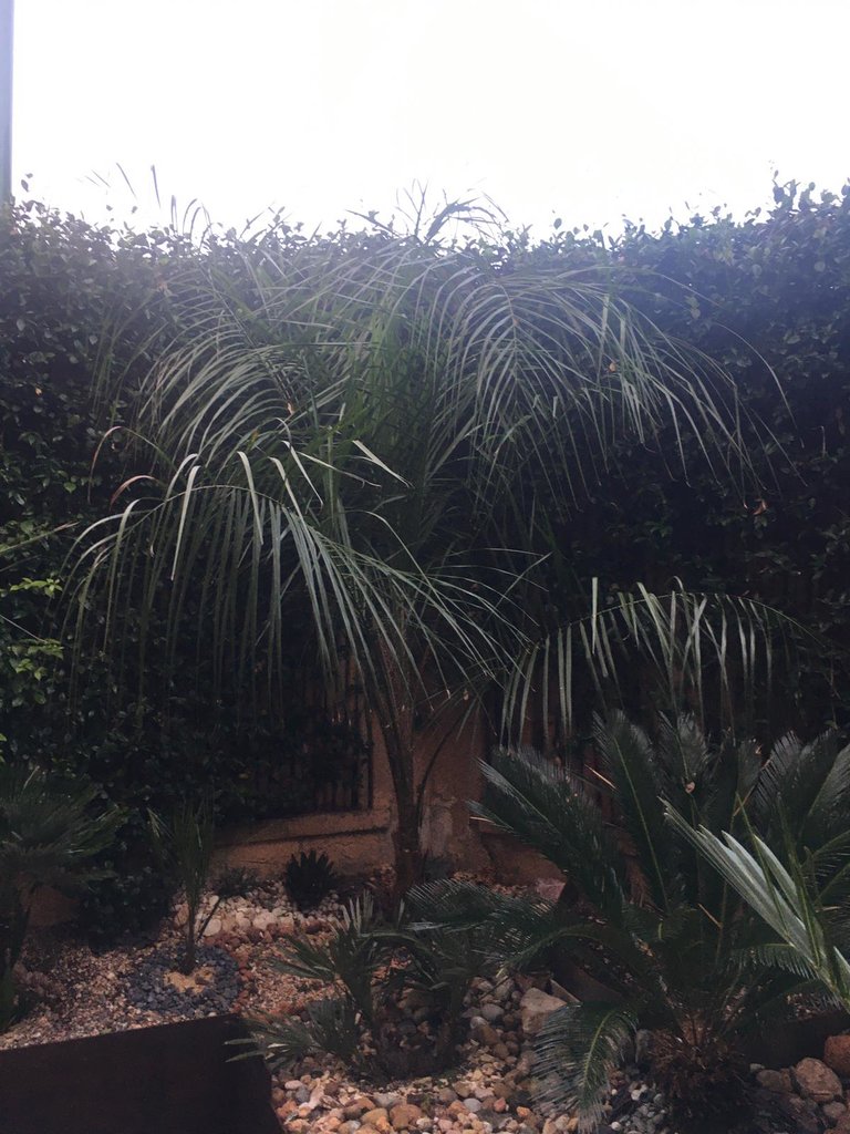 SAVE_20191019_211613.jpeg