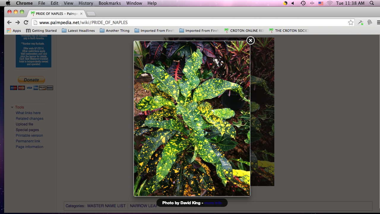 Screen shot 2014-05-20 at 11.38.47 AM.png