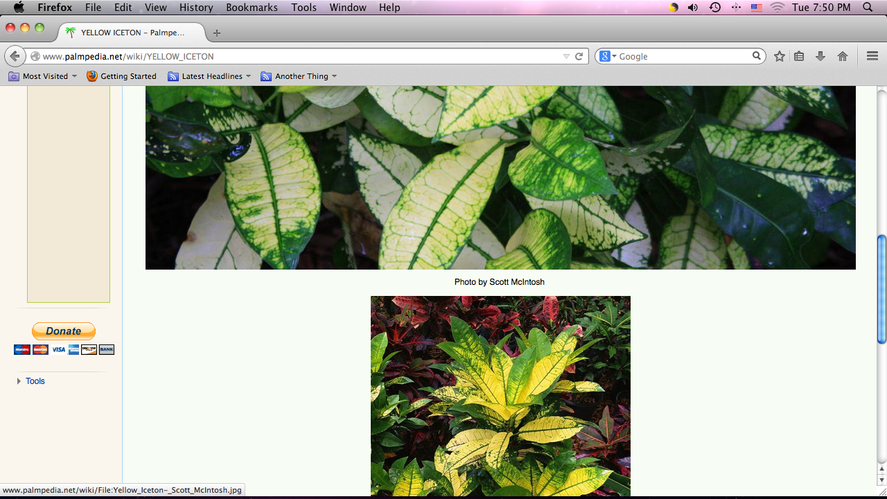 Screen shot 2014-05-20 at 7.50.23 PM.png