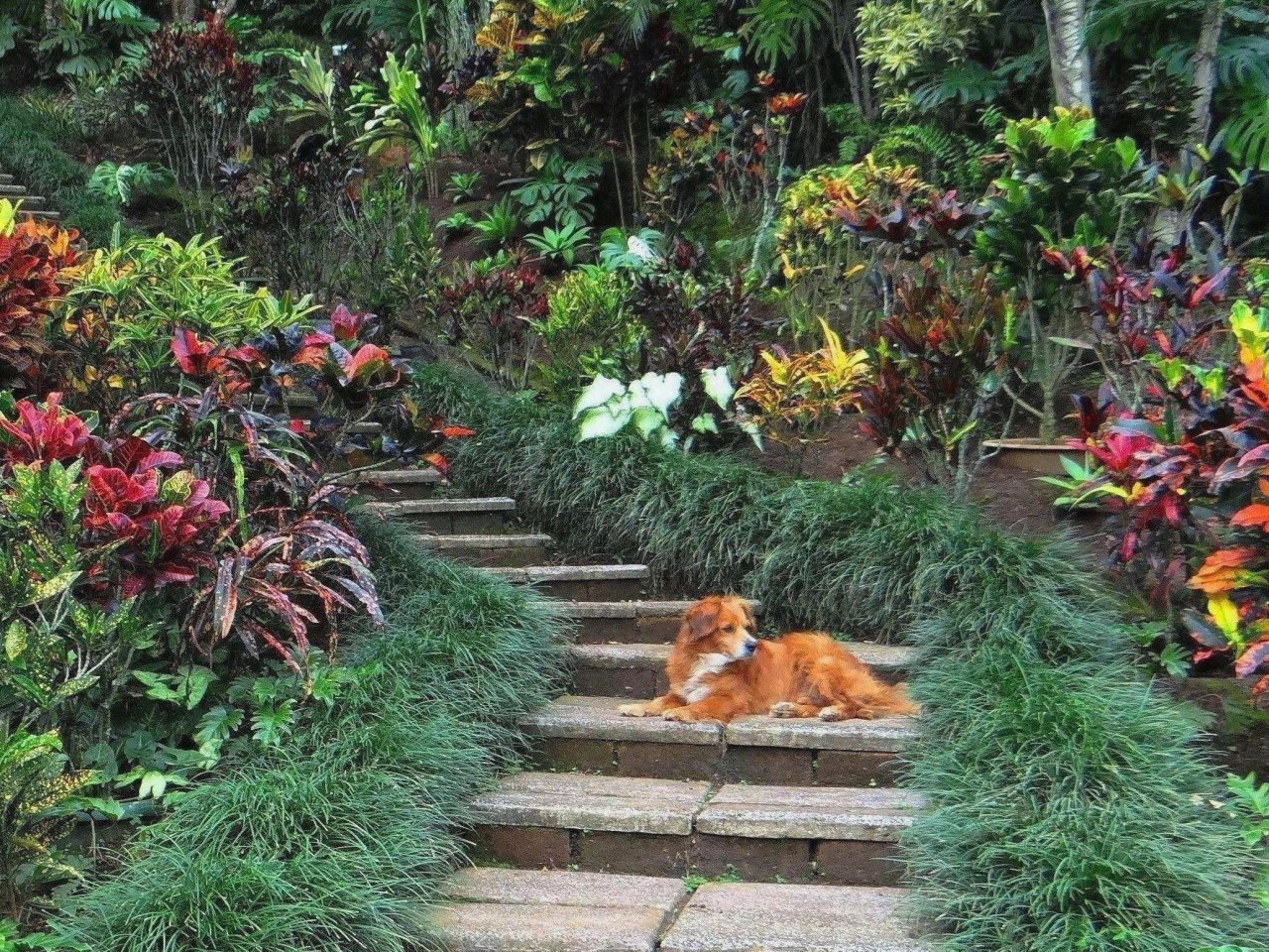 Stairway 4.JPG