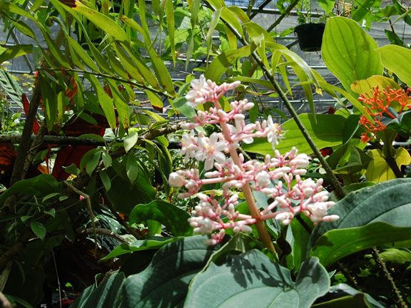 upload_2015-5-14_7-47-52.png