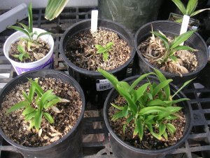 4-18-08- 008.jpg
