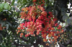 DSC_0023.jpg