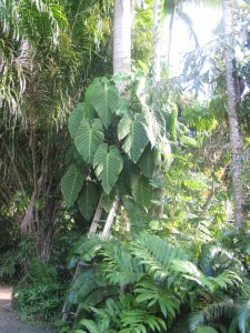 IMG_5031.JPG