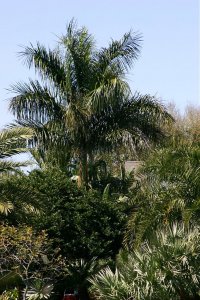 IMG_3006.jpg