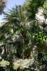 IMG_3040.jpg