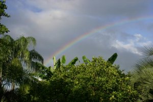 IMG_4685.JPG