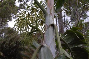 DSC_0012.jpg