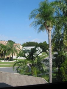 IMG_0113.jpg